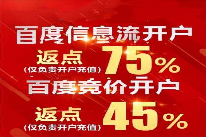 关键词竞价排名实战案例分析